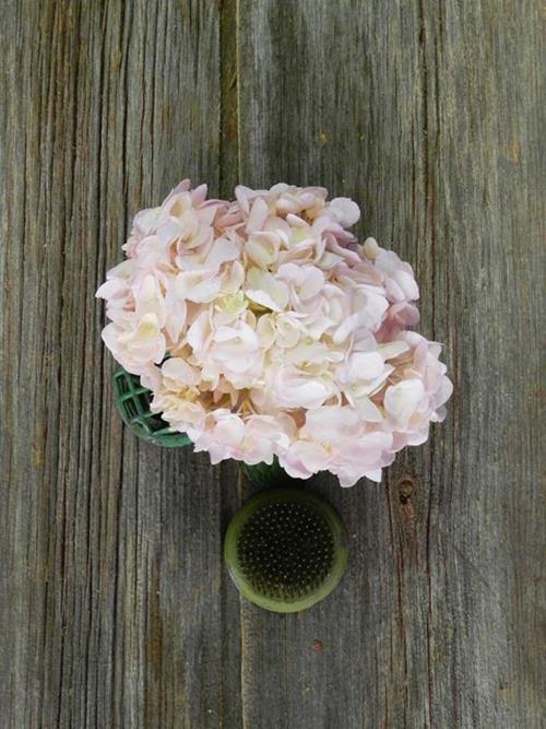 PAINTED LIGHT PINK #11 TINTED HYDRANGEAS